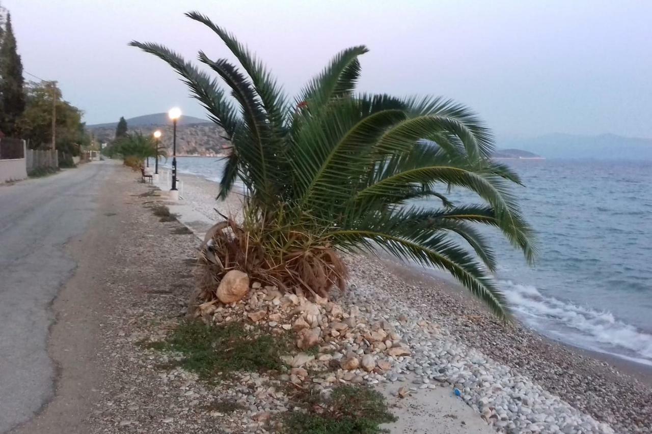 Family House Near The Beach Drepano-Nafplio Exterior foto